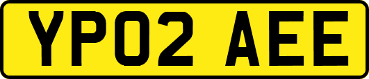 YP02AEE