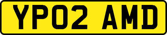YP02AMD