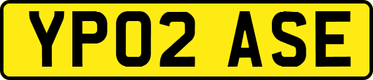 YP02ASE