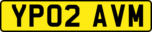 YP02AVM