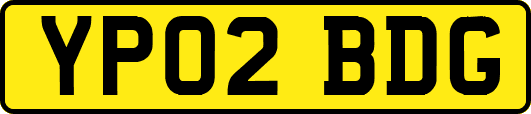 YP02BDG