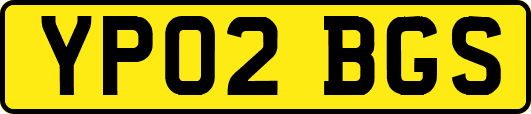 YP02BGS