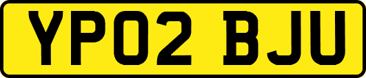 YP02BJU