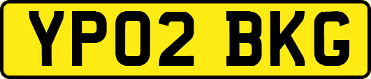 YP02BKG
