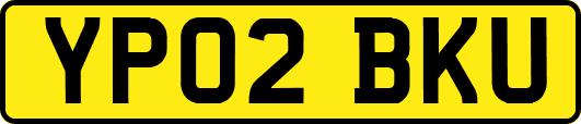 YP02BKU