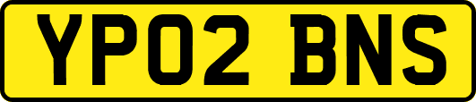 YP02BNS