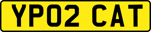 YP02CAT
