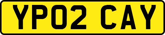 YP02CAY