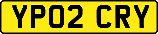 YP02CRY