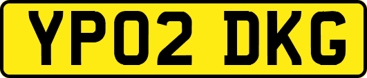 YP02DKG