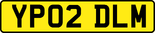 YP02DLM