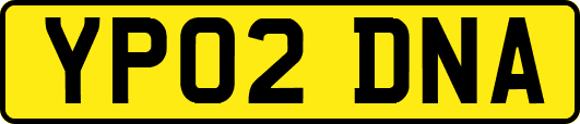 YP02DNA
