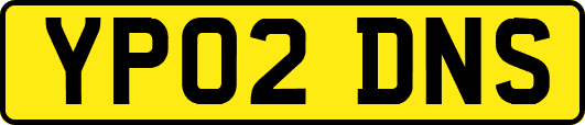 YP02DNS