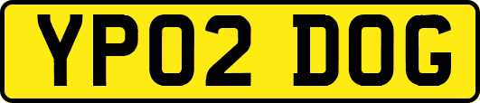 YP02DOG