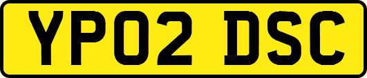 YP02DSC