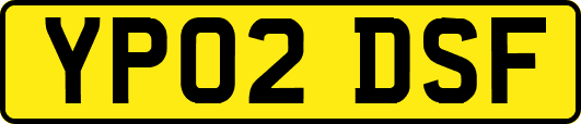 YP02DSF