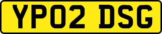 YP02DSG