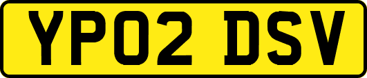 YP02DSV