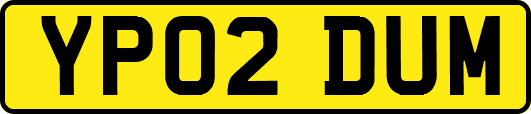 YP02DUM