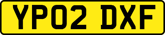 YP02DXF