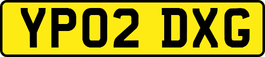 YP02DXG