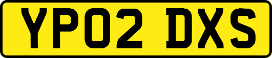 YP02DXS