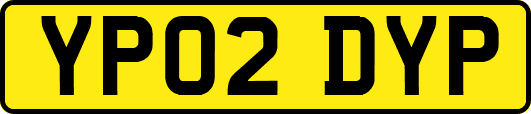 YP02DYP