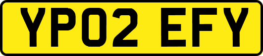 YP02EFY