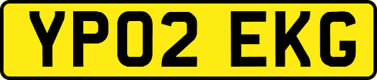 YP02EKG