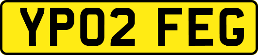 YP02FEG