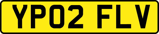 YP02FLV