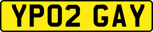 YP02GAY