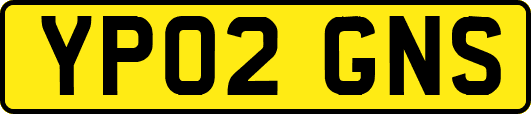 YP02GNS