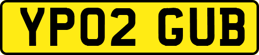 YP02GUB