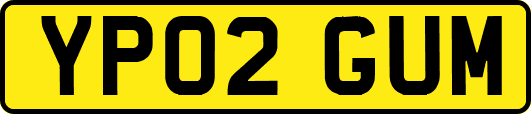 YP02GUM