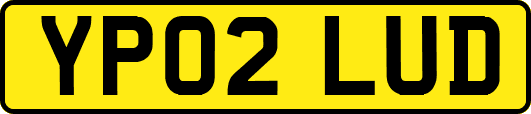 YP02LUD