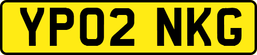 YP02NKG