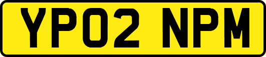 YP02NPM