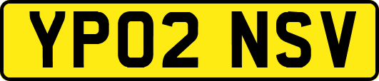YP02NSV