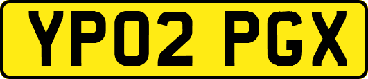 YP02PGX