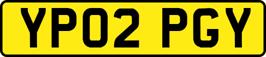 YP02PGY