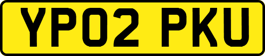 YP02PKU