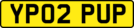 YP02PUP