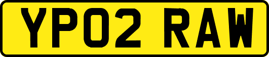 YP02RAW