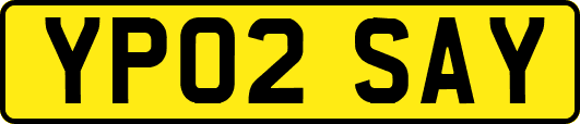 YP02SAY