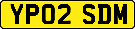 YP02SDM