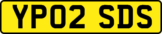 YP02SDS