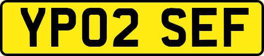 YP02SEF
