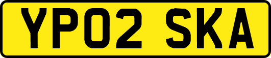 YP02SKA
