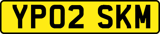 YP02SKM